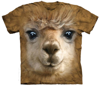 Big Face Alpaca available now at Novelty EveryWear!